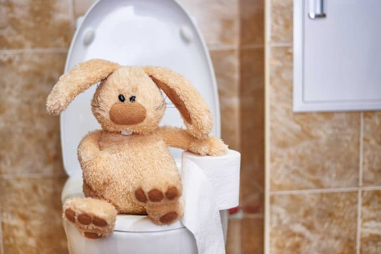 toilet-developmental-milestones