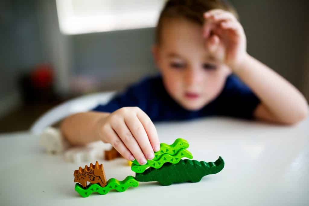 boy-playing-a-stacking-game-with-animals-6T2RAXC