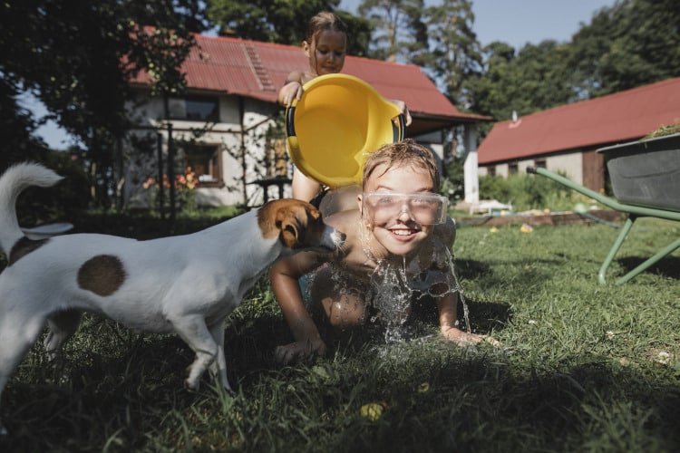 Brother, sister and dog playing with water in garden
