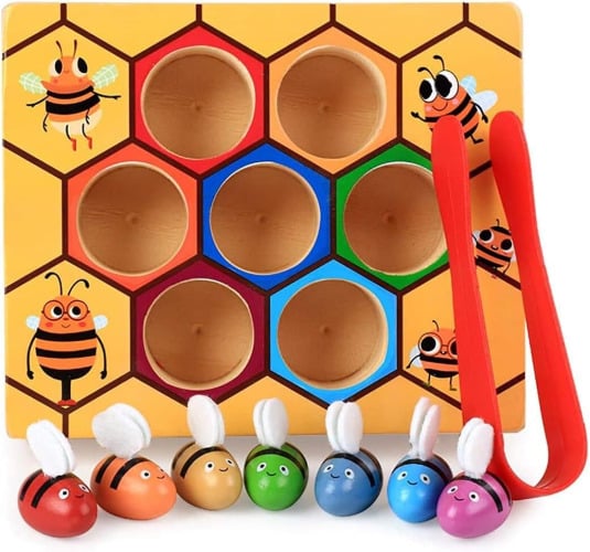 Clamp Bee to Hive Matching Game